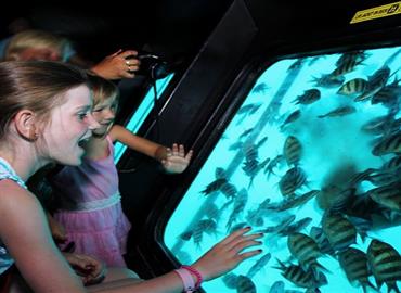 Sphinx Travel Services